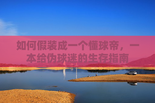 如何假装成一个懂球帝，一本给伪球迷的生存指南