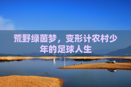 荒野绿茵梦,变形计农村少年的足球人生