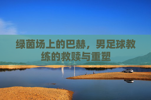 绿茵场上的巴赫,男足球教练的救赎与重塑