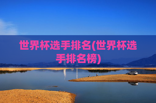 世界杯选手排名(世界杯选手排名榜)