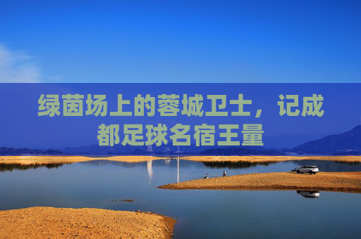 绿茵场上的蓉城卫士,记成都足球名宿王量