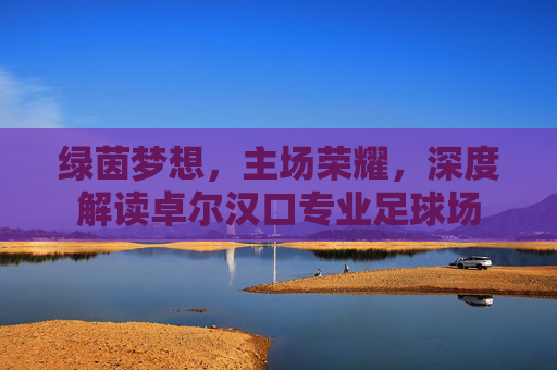 绿茵梦想,主场荣耀,深度解读卓尔汉口专业足球场