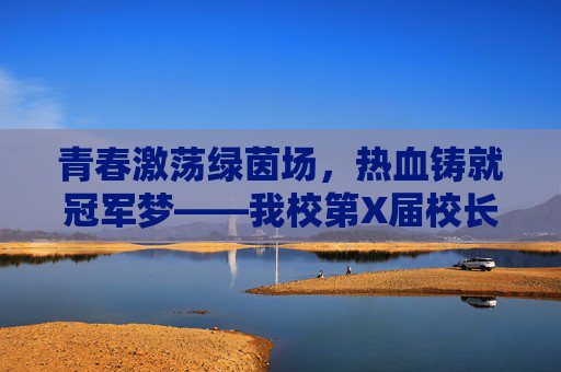 青春激荡绿茵场,热血铸就冠军梦——我校第X届校长杯校园足球赛圆满落幕