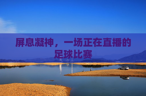 屏息凝神，一场正在直播的足球比赛