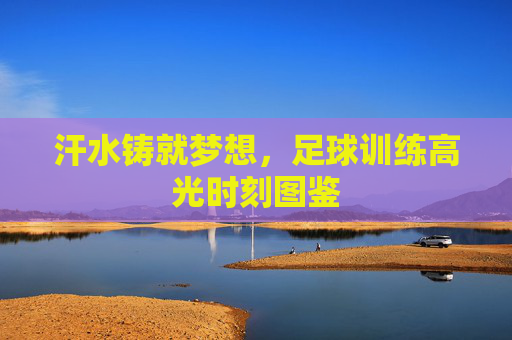 汗水铸就梦想，足球训练高光时刻图鉴
