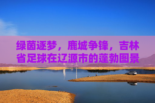 绿茵逐梦,鹿城争锋,吉林省足球在辽源市的蓬勃图景