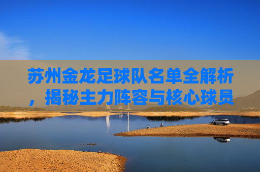 苏州金龙足球队名单全解析,揭秘主力阵容与核心球员