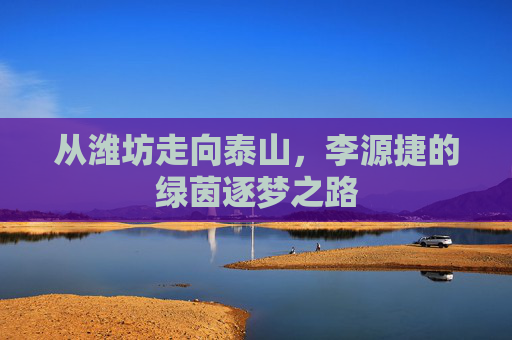 从潍坊走向泰山,李源捷的绿茵逐梦之路
