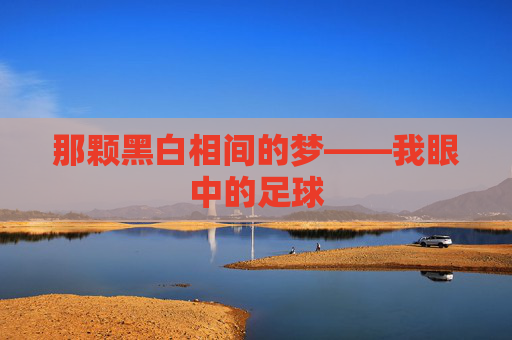 那颗黑白相间的梦——我眼中的足球