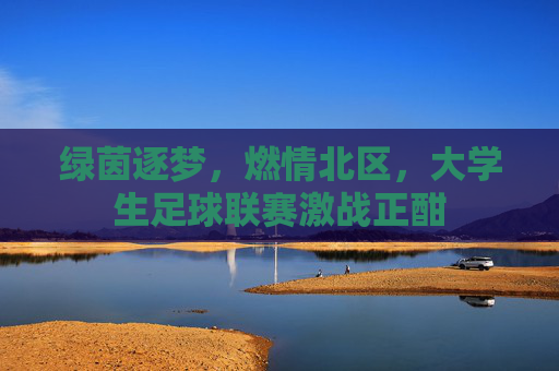 绿茵逐梦,燃情北区,大学生足球联赛激战正酣