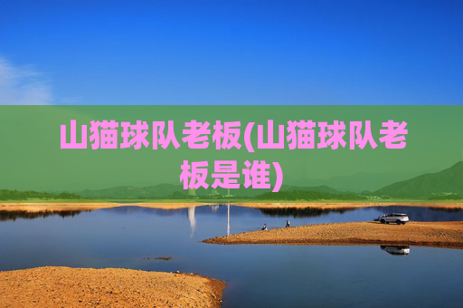 山猫球队老板(山猫球队老板是谁)
