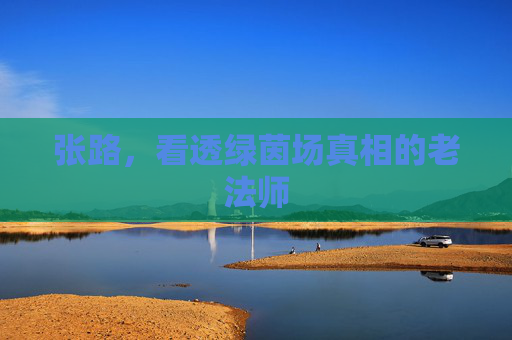 张路,看透绿茵场真相的老法师