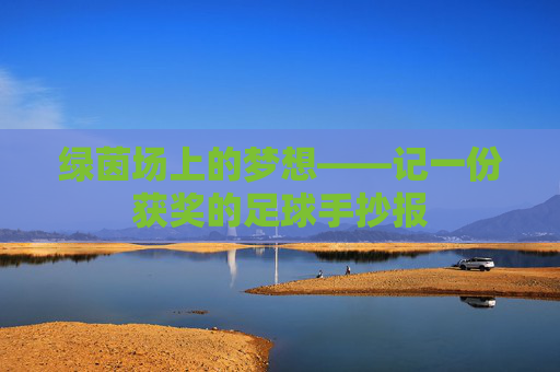 绿茵场上的梦想——记一份获奖的足球手抄报