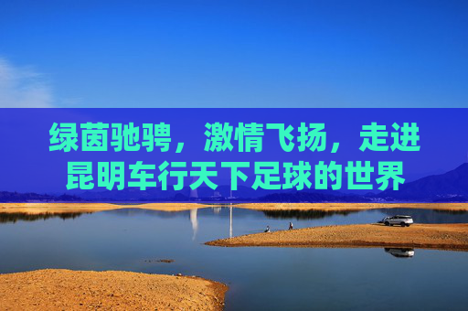 绿茵驰骋,激情飞扬,走进昆明车行天下足球的世界