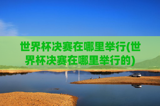 世界杯决赛在哪里举行(世界杯决赛在哪里举行的)