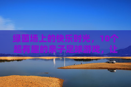绿茵场上的快乐时光,10个超有趣的亲子足球游戏,让父子/母女关系升温!