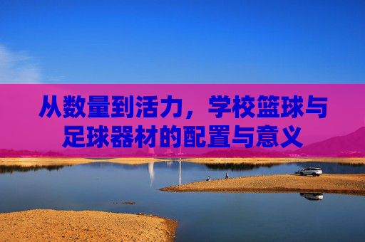 从数量到活力，学校篮球与足球器材的配置与意义
