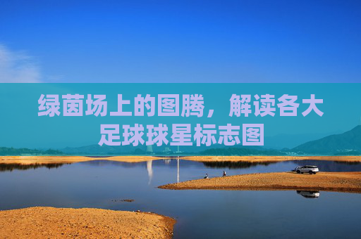 绿茵场上的图腾,解读各大足球球星标志图