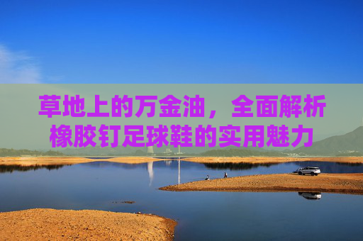 草地上的万金油,全面解析橡胶钉足球鞋的实用魅力