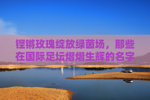铿锵玫瑰绽放绿茵场,那些在国际足坛熠熠生辉的名字