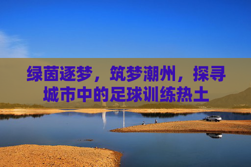 绿茵逐梦,筑梦潮州,探寻城市中的足球训练热土