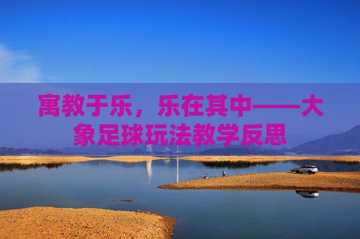 寓教于乐，乐在其中——大象足球玩法教学反思