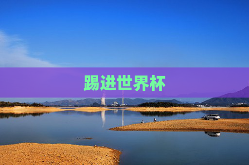踢进世界杯