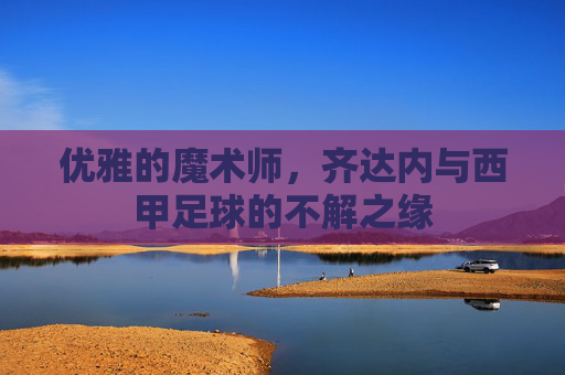 优雅的魔术师,齐达内与西甲足球的不解之缘
