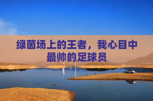 绿茵场上的王者，我心目中最帅的足球员