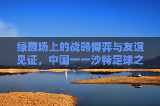 绿茵场上的战略博弈与友谊见证，中国一一沙特足球之战