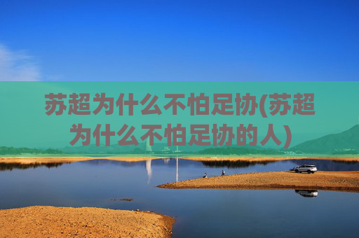 苏超为什么不怕足协(苏超为什么不怕足协的人)