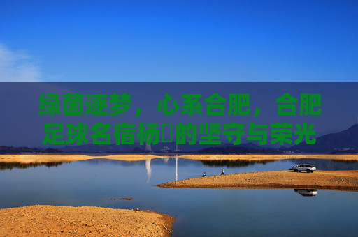 绿茵逐梦,心系合肥,合肥足球名宿杨燚的坚守与荣光