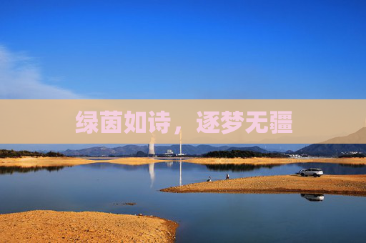 绿茵如诗,逐梦无疆