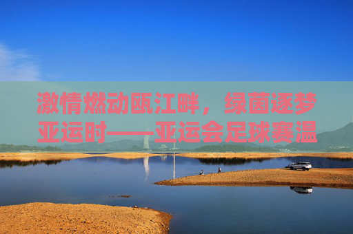 激情燃动瓯江畔,绿茵逐梦亚运时——亚运会足球赛温州赛场侧记