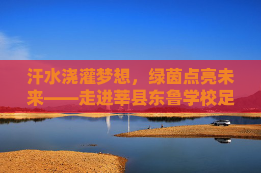 汗水浇灌梦想,绿茵点亮未来——走进莘县东鲁学校足球场