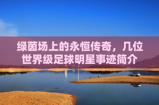 绿茵场上的永恒传奇,几位世界级足球明星事迹简介
