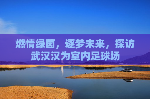 燃情绿茵,逐梦未来,探访武汉汉为室内足球场