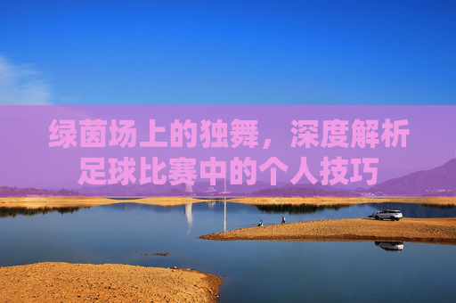 绿茵场上的独舞，深度解析足球比赛中的个人技巧