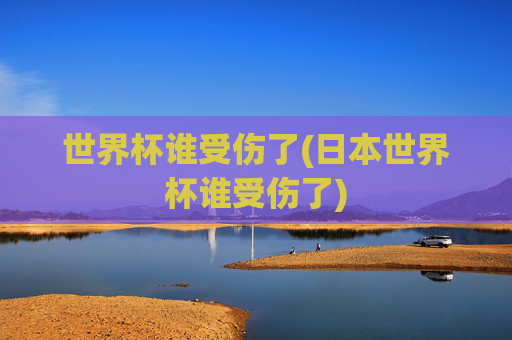 世界杯谁受伤了(日本世界杯谁受伤了)