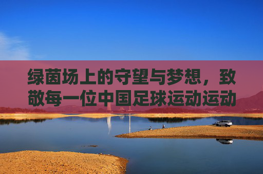 绿茵场上的守望与梦想,致敬每一位中国足球运动运动员