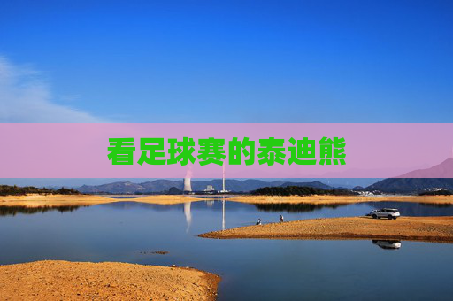 看足球赛的泰迪熊