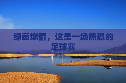 绿茵燃情,这是一场热烈的足球赛