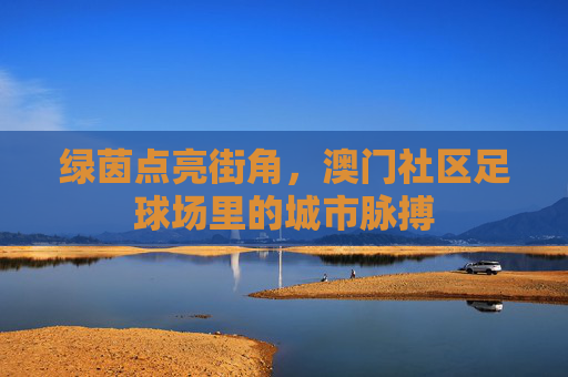 绿茵点亮街角,澳门社区足球场里的城市脉搏