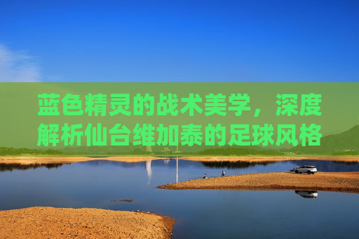 蓝色精灵的战术美学，深度解析仙台维加泰的足球风格