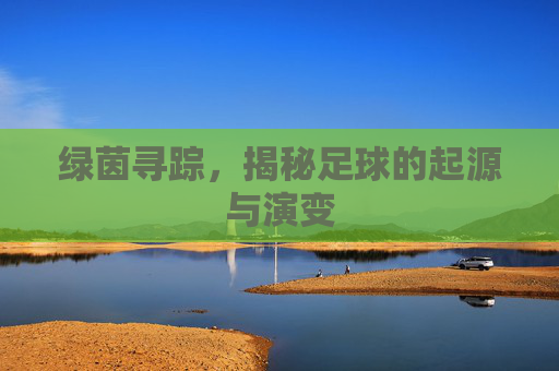 绿茵寻踪,揭秘足球的起源与演变
