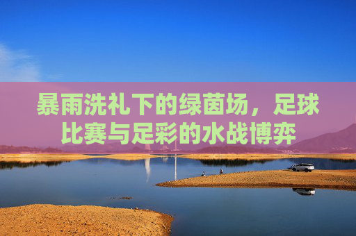 暴雨洗礼下的绿茵场,足球比赛与足彩的水战博弈