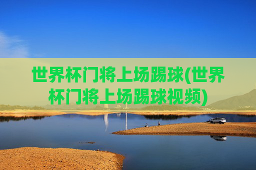 世界杯门将上场踢球(世界杯门将上场踢球视频)