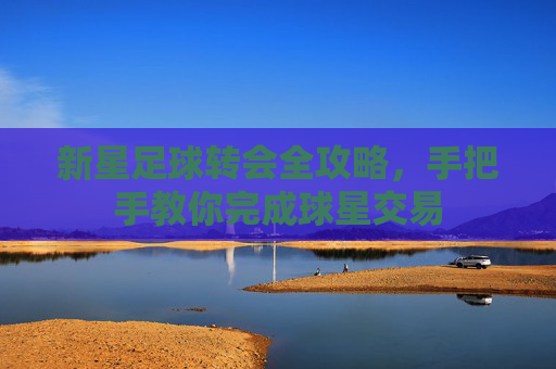 新星足球转会全攻略，手把手教你完成球星交易