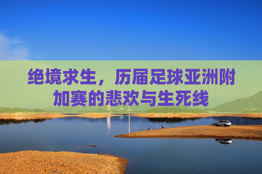 绝境求生,历届足球亚洲附加赛的悲欢与生死线