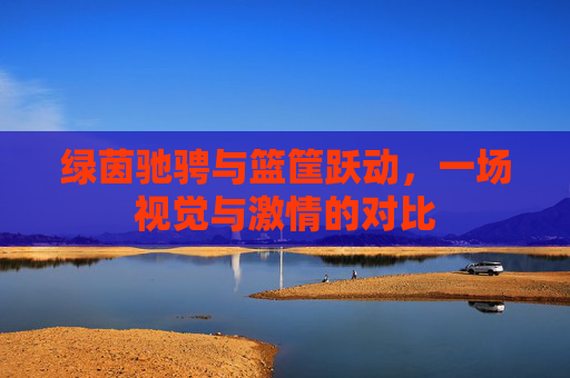 绿茵驰骋与篮筐跃动,一场视觉与激情的对比